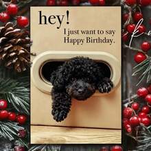 一张精美的生日贺卡，上面印有可爱的动物图案，是送给朋友、家人或同事的独特生日礼物。贺卡上，一只可爱的黑色卷毛小狗正从椭圆形的小孔里探出头来。 - 彩色 - 查看 6