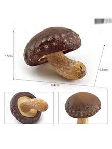 1pc Realistic Mushroom Model, Includes Shiitake, Amanita, Chanterelle, Porcini, Suitable For Teaching, Photography Props - Multicolor - View 13