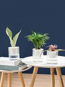 1pc Slouchy Self-Watering Planter For Pothos, Transparent Plastic Planter With Water Reservoir - A - View 3