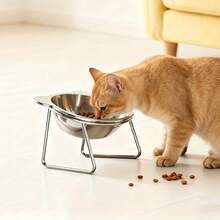 不锈钢猫碗 宠物喂食器 宠物碗 易于清洁的喂食饮水碗 保护宠物脊椎 适用于小型猫和幼猫 宠物主人 情人节 感恩节 派对 生日礼物 - 420ml - 查看 8