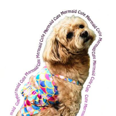 Small Dog Bikini Dress, Fashionable Swimwear Outfit, Comfortable Adjustable Pet Bathing Suit, Soft Pet Clothing Suitable For Beach, Pool And Summer Fun