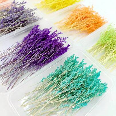 1盒永生花观赏草DIY工艺材料，贺卡信封邀请函盒装饰，天然干花，永生花玻璃罩相框装饰，DIY永生花戒指材料