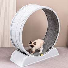 Cat Exercise Wheel With Carpeted Runway And Lock - Indoor Cat Treadmill Running Wheel - Grey - View 9