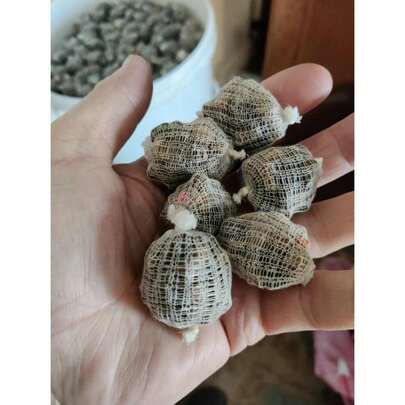 120 Pre Filled MINI Carp Bait Balls + Hook Baits & WELL SOAKED Pellet Combos