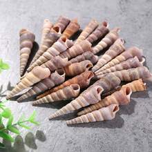 20个迷你红色圆锥形蜗牛壳 | 高级水族造景用品、海岸风家居及婚礼装饰、DIY工艺装饰品、圣诞礼物及圣诞装饰品填充物 - A - 查看 10