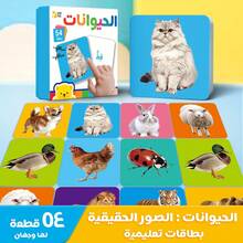 beartale 3+ Toddler 54pcs Arabic Multi-Themed Educational Flashcards Set, Bilingual Cognitive Learning Card Game, Preschool Montessori Teaching Aids, Classroom & Home Activity - Multicolor - View 3