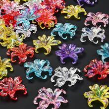 20 hạt cườm hình hoa diên vĩ bằng acrylic trong suốt nhiều màu sắc, màu cầu vồng, dùng để tự làm vòng tay, vòng cổ, móc khóa và trang sức. - Hoa diên vĩ - Xem 4