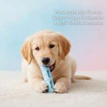 Dog Chew Toys Bite-Resistant Slow-Feeding Interactive Dog Toys For Teeth Cleaning, Pet Training, Playtime And More - Màu xanh lam - Xem 2