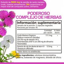 Gwynne Cardo Mariano Orgánico 90 Cápsulas Vegetarianas, Extracto Concentrado 30:1 con 80% de Silimarina, Apoya la Función Hepática Natural y la Defensa Antioxidante(3pcs) - 3 piezas - Ver 7