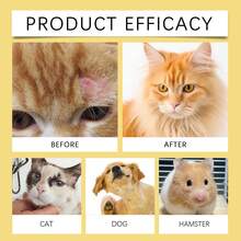 宠物皮肤护理喷雾，温和成分舒缓宠物皮肤不适，局部护理喷雾 - 彩色 - 查看 6