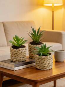 3 cây mọng nước nhân tạo, cây mọng nước nhỏ trồng trong chậu với cỏ đan, thích hợp trang trí theo phong cách nông trại trong nhà, bàn làm việc, văn phòng, phòng ngủ, kệ sách. - Nhiều màu - Xem 8