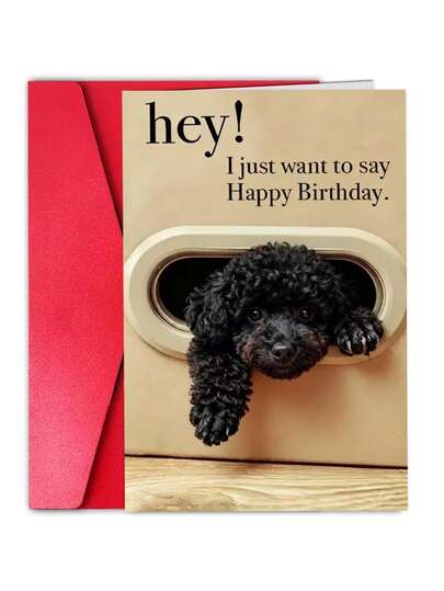 1Pc Charming Birthday Card Showcasing Cute Animals, Perfect As A Unique Birthday Gift For Friends, Family, Or Colleagues. On The Card, There Is A Cute Black Curly Haired Puppy Poking Its Head Out Of An Oval Hole.