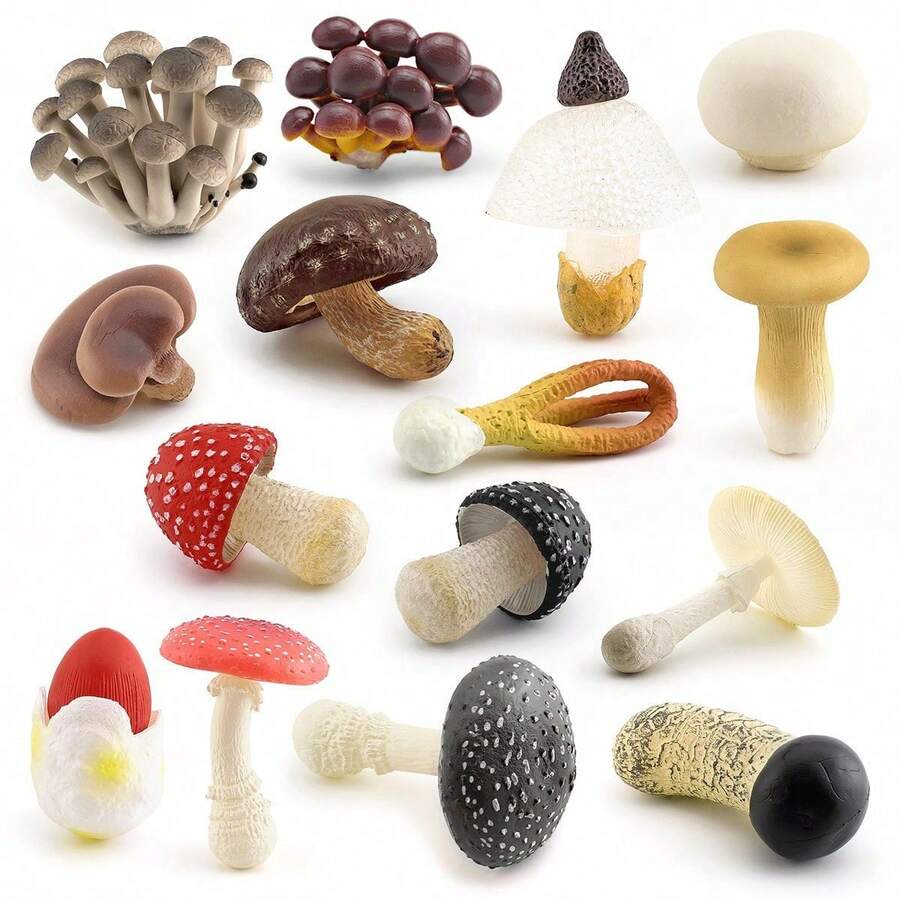 1pc Realistic Mushroom Model, Includes Shiitake, Amanita, Chanterelle, Porcini, Suitable For Teaching, Photography Props - Multicolor - View 1
