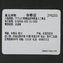 Adidas Toddler Boys' PREDATOR CLUB FT EL TF J Football/Soccer Shoes, JP6255 - Blue and White - View 7