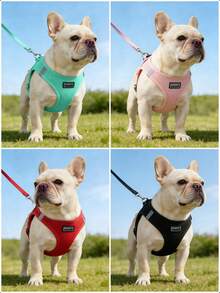 1 Set Correa y Arnés Reflectante para Gato/Perro - Chaleco de Malla Transpirable con Correa de Nailon Acolchada Adecuado para Perros Pequeños a Medianos, Diseño de Doble Argolla en D Sin Estrangulamiento - Multicolor - Ver 5