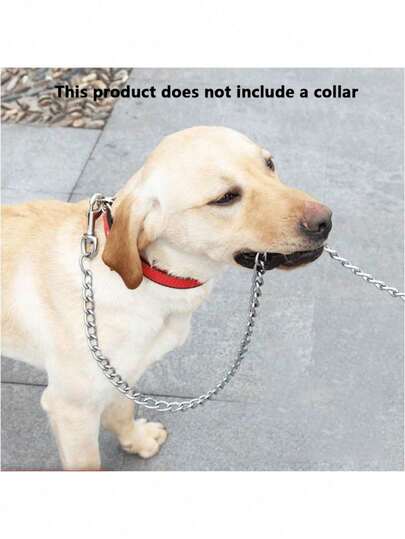 Chain Leash Dog Leash Plated With Soft Padded Handle For Small Dog