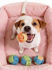 2pcs Dog Bone Shaped + Ball Knot Toy Set, Handwoven Durable Chew Toy, Helps Clean Teeth, Interactive Fetch Game Toy For Dogs - Multicolor - View 5