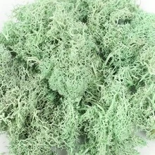 20g Musgo verde artificial preservado, manualidades de jardín DIY, decoración del hogar, paisaje en miniatura de césped artificial - Multicolor - Ver 31