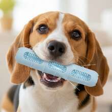 Dog Chew Toys Bite-Resistant Slow-Feeding Interactive Dog Toys For Teeth Cleaning, Pet Training, Playtime And More - Màu xanh lam - Xem 1