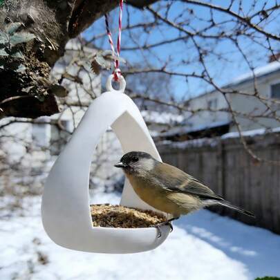 موزع طعام للطيور البرية - تصميم قطرة معلقة، محطة طعام وماء للطيور الخارجية مع فتحات تصريف، موزع ديكوري للحديقة للطيور الصغيرة، الحسون، طيور الكولبري