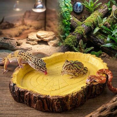 Large Size Reptile Feeding Bathing Dish For Leopard Gecko Horned Frog Snake