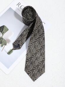 1条时尚佩斯利花纹领带，复古风格，适合休闲、商务、派对等场合。 - 彩色 - 查看 7