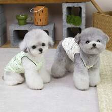 Colete respirável floral para animais de estimação, novo design, roupa de desenho animado para gatos, roupa para cães pequenos, colete refrescante para primavera/verão. - Verde - Ver 8