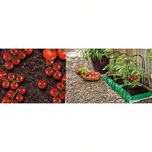 Grow It 07376 Single Stem Plant Support - Large Green 9 X 9 X 103 Cm Ffv - Green - View 3