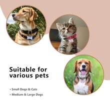 1pc Personalized Dog Tags | Glitter Bone Dog Tag | Engraved Pet ID Name Pendant | For Dogs, Cats, Puppies Daily Wear | Dog Collar ID Tag Accessory | Cute Colorful Stylish Design | Personalized Gifts For Family, Friends, Pet Lovers | Back-To-School Gift | Mother's Day Gift | Teacher's Day Gift - 藍色 - 查看 7