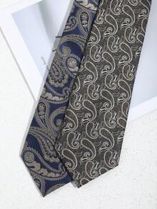 1条时尚佩斯利花纹领带，复古风格，适合休闲、商务、派对等场合。 - 彩色 - 查看 2