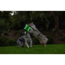 Juguete Volador Ardilla para Perros que Brilla en la Oscuridad, 26 cm, Tamaño Mediano, Ideal para Todas las Razas - 1 - Ver 8