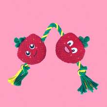 Fruit And Vegetable Shaped Plush Knot Toys, Chew Ropes, Dog Rope Toys, Suitable For Small Dogs, Tough Dog Chew Toys, Knot Tug-Of-War Toys, For Teeth Cleaning, Tug-Of-War, Beneficial To Dogs' Mental Health, Dental Health And Teeth Cleaning, Dog Gifts, Companion Toys, Interactive Toys - Multicolor - View 8