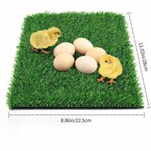 Alfombra de césped artificial de alta densidad y 20 mm de grosor, almohadilla de césped para inodoro de mascotas, tapete de entrenamiento, inodoro para gatos y perros, adecuado para patio, pasillo de boda - M - Ver 9
