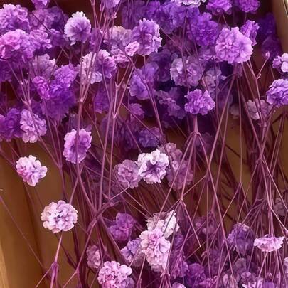 25-105支黄色满天星花束，白色和绿色花茎，适合DIY手工、家居装饰、婚礼、派对和节日庆典，藤编材质，适合情人节、万圣节、感恩节花卉装饰，无需维护，可用作花瓶填充物、婚礼装饰、家居装饰、办公室装饰、派对布置、花束 | 复古风格，适合感恩节、母亲节