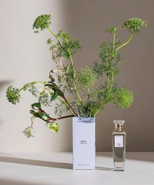 AGUA FRESCA DE ROSAS 120ML. EDT SPRAY DAMA ADOLFO DOMINGUEZ - Floral - Ver 2