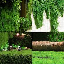 Artificial Moss Grass Lawn, DIY Synthetic Turf Landscape Simulation Artificial Grass Mat Fake Grass Carpet Suitable For Balcony, Terrace, TV Wall Decoration, Window Display Decoration, Realistic - 39.37 * 39.37in - View 3