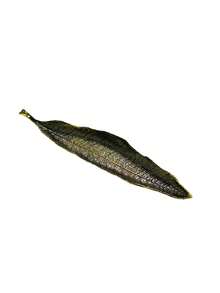 1 pieza Soporte de plato metálico para incienso con hojas largas en color dorado, plateado, bronce y verde, quemador de incienso para Ramadán - Dorado - Ver 40