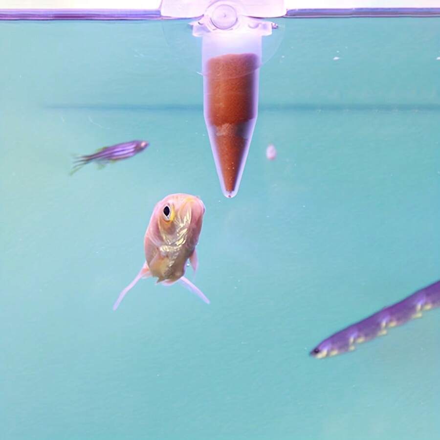 1pc Fish Tank Suction Cup Feeder, Suitable For Small Fish And Shrimp, Durable PVC Material, Designed For Feeding Insects, Fish Feeding Tool, Aquarium Accessory