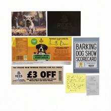 Cold Case Mystery Game | An Unsolved Crime - Who Let The Dogs Out | Immersive Detective Puzzles | Perfect For Games Night | Great For Groups - Families & Friends - Multicolor - View 2