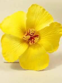 1/3 piezas Flores artificiales de hibisco, decoración de fiesta hawaiana de verano DIY, accesorios para el cabello de la falda de hierba de la fiesta de baile - Multicolor - Ver 29