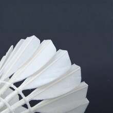 Badminton Bulk Badminton Shuttlecock Set - 12 Pieces, Lightweight, Responsive, Sturdy Construction, For Indoor & Outdoor Court Play.Badminton - Multicolor - View 9