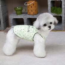 Colete respirável floral para animais de estimação, novo design, roupa de desenho animado para gatos, roupa para cães pequenos, colete refrescante para primavera/verão. - Verde - Ver 10
