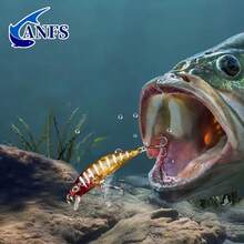 5pcs Fishing Lure Kit-Realistic Artificial Bait With Box Ideal For Freshwater &Saltwater Fishing - Multicolor - View 8