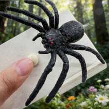 新款蜘蛛弹簧盒恶作剧玩具，恐怖昆虫惊喜盒，节日、情人节、愚人节、生日趣味恶搞礼物 - 彩色 - 查看 5