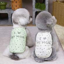 Colete respirável floral para animais de estimação, novo design, roupa de desenho animado para gatos, roupa para cães pequenos, colete refrescante para primavera/verão. - Verde - Ver 9