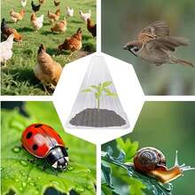 透明保护罩，适用于园艺幼苗、温室栽培，透气花盆罩，可保暖、保湿、防冻、防虫、防啃咬 - A - 查看 7