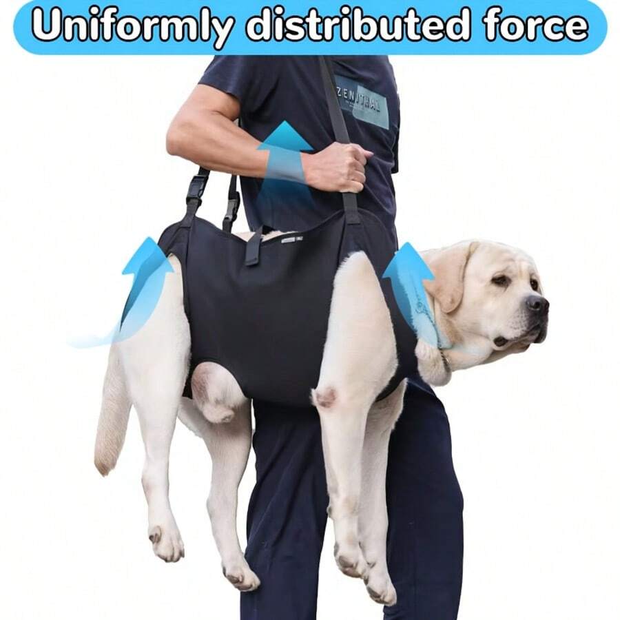 1pc Dog Leash Harness, Handheld Assist For Elderly, Disabled, Small & Medium Breed Dogs, Stair Climbing Aid - Black - View 1