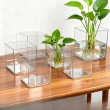 Copper Coin Grass Hydroponics Planter, Creative Plant Pot, Hydroponics Philodendron, Mini Hydroponics Container - 1pc - View 10