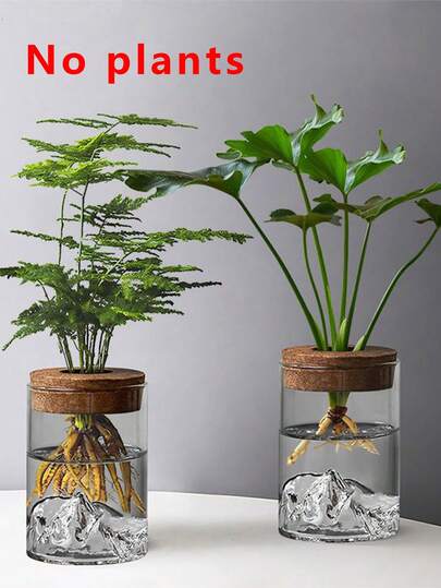 带木盖的水培花瓶 - 透明育苗盆，适用于室内水培花园、香草和空气净化植物 - 现代乡村风格花瓶