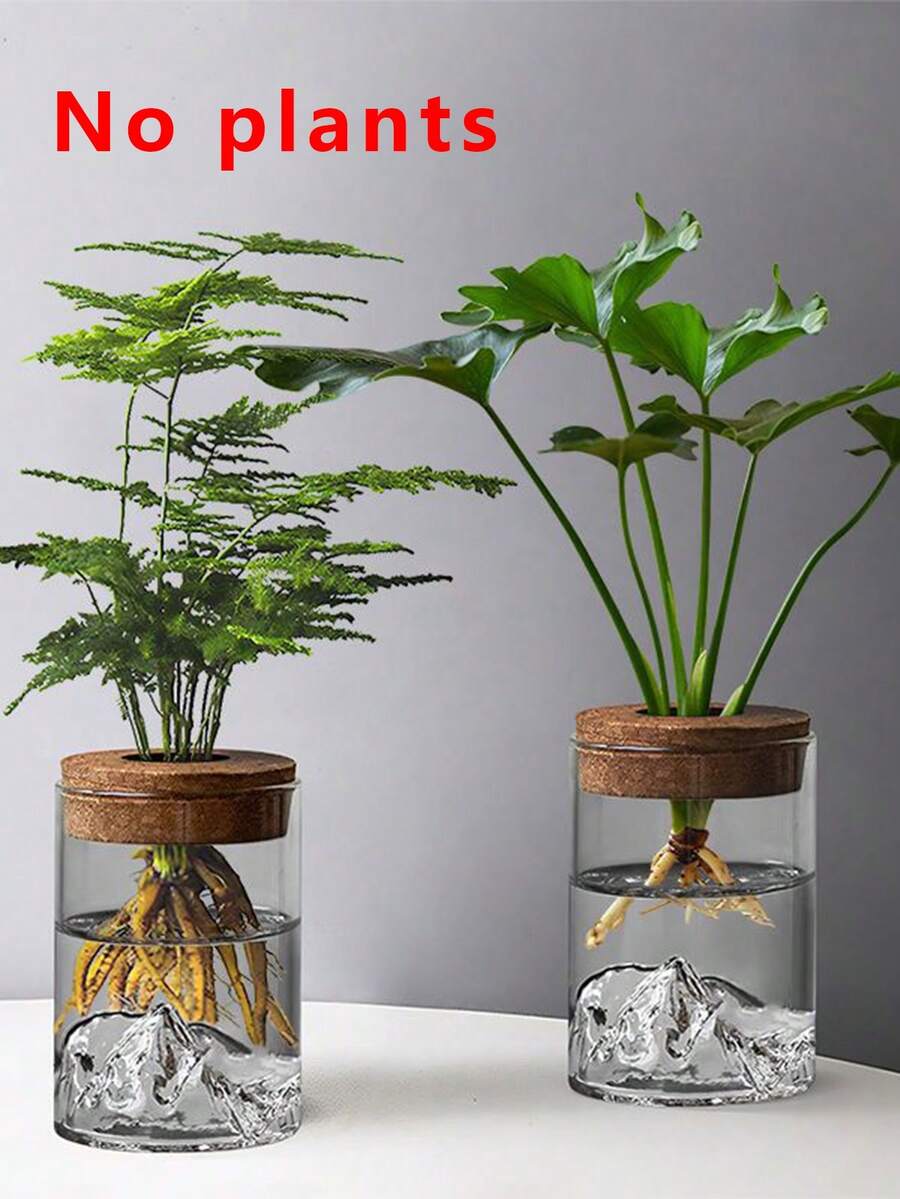 带木盖的水培花瓶 - 透明育苗盆，适用于室内水培花园、香草和空气净化植物 - 现代乡村风格花瓶 - 常規款 - 查看 1